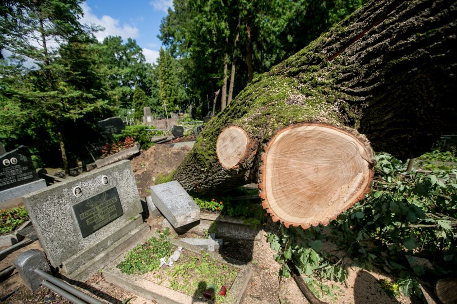 Audros padariniai Eigulių kapinėse: vaizdas – kaip po karo