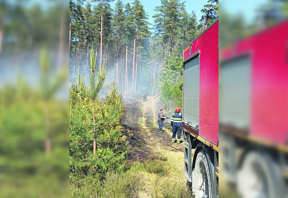 Miško gaisrą Kretingos rajone gesino didžiulės pajėgos