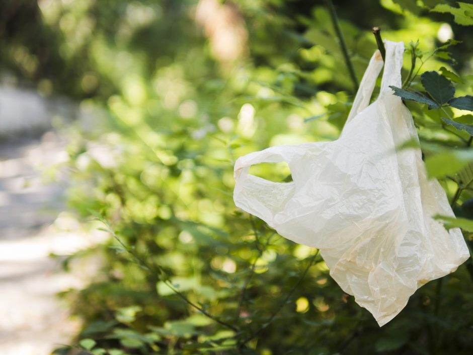 Aplinkosaugininkai pradeda akciją „Plastikinis maišelis“