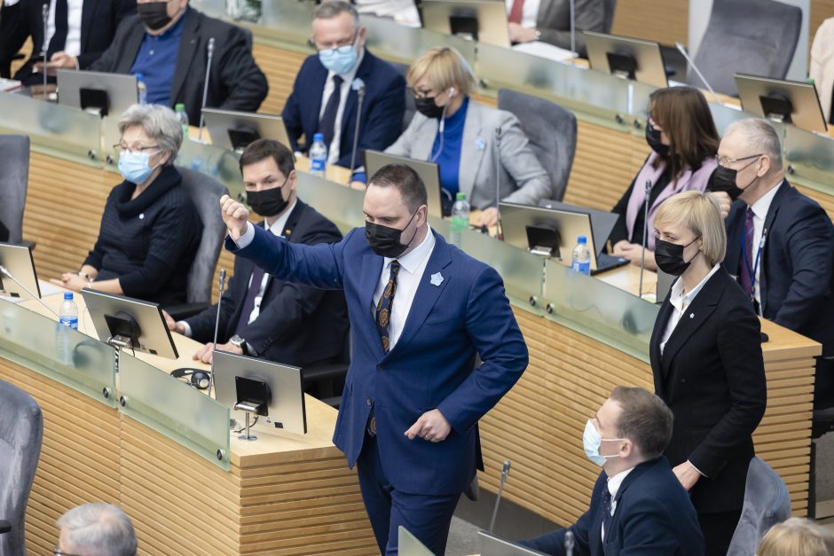 Po aštrių diskusijų Seime I. Šimonytė pareiškė: nesu mergaitė pagal iškvietimą