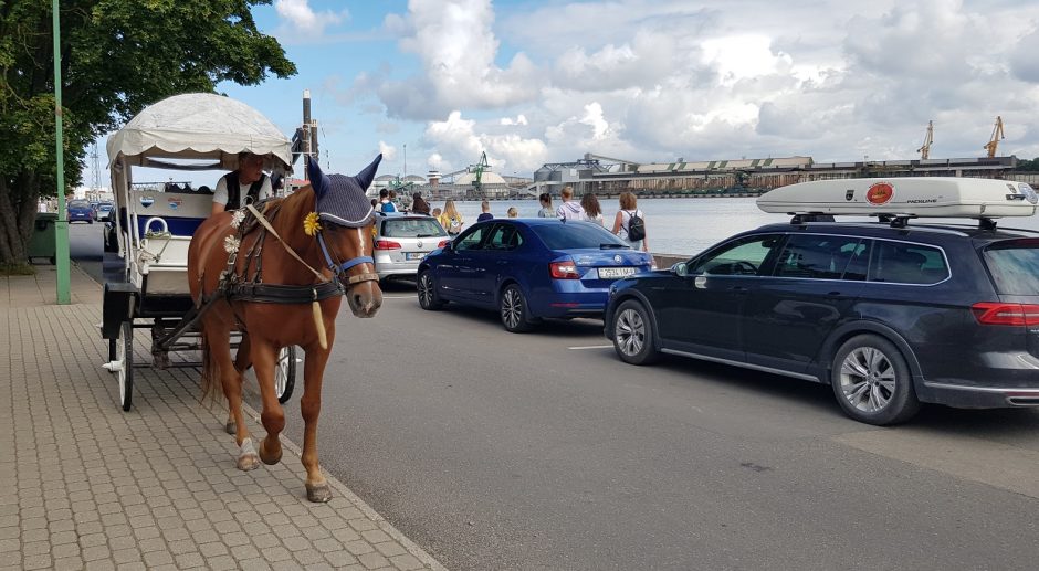 Smiltynėje tvirtins krantą ir tvarkys gatvę
