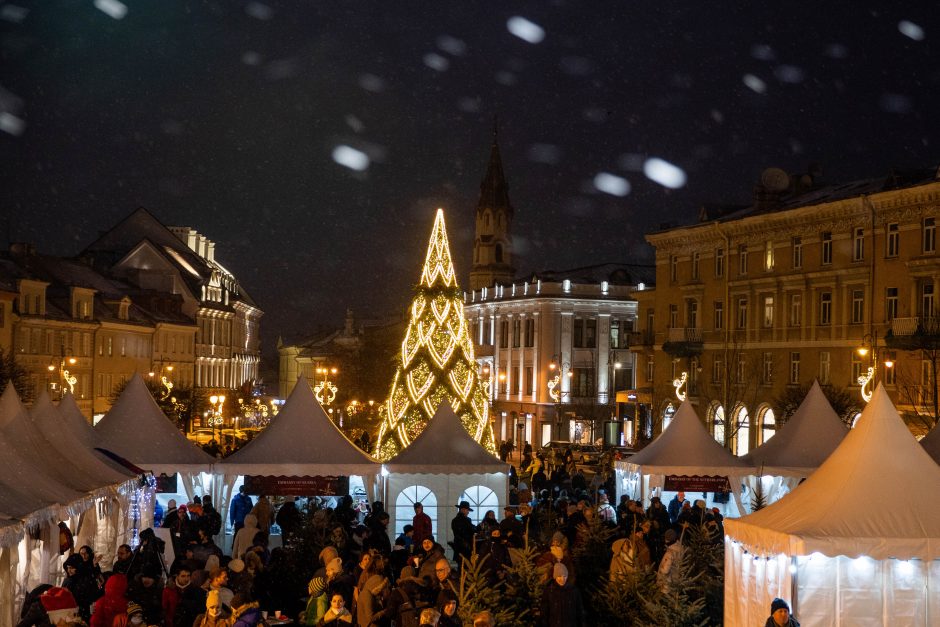 Vilniaus rotušėje įžiebta kalėdinė eglutė