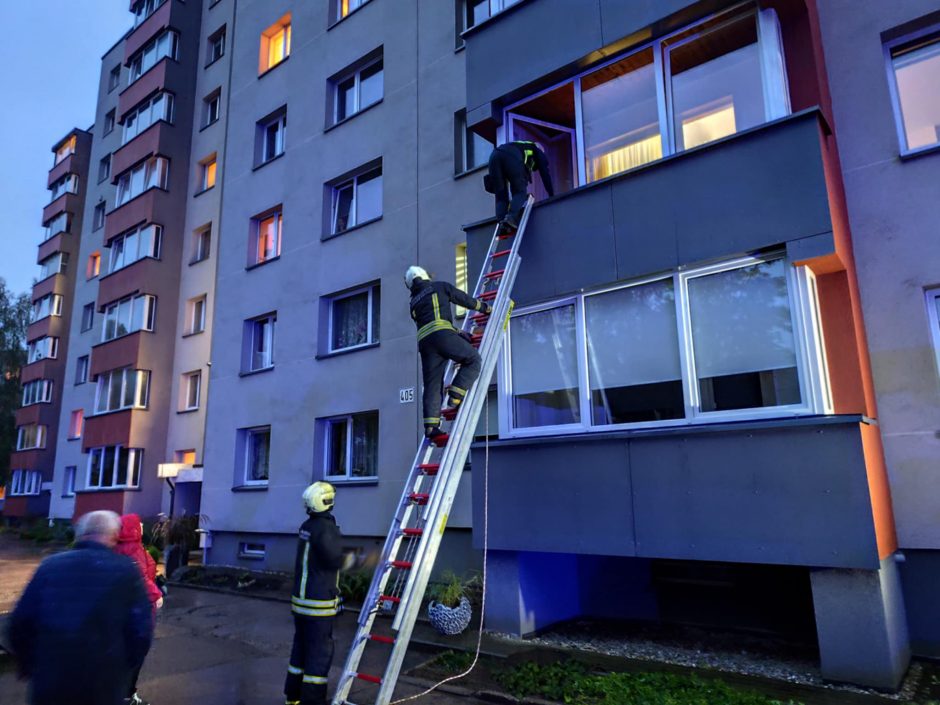 Specialiosios tarnybos skubėjo į Savanorių prospektą: agresyvus šuo apkandžiojo moterį