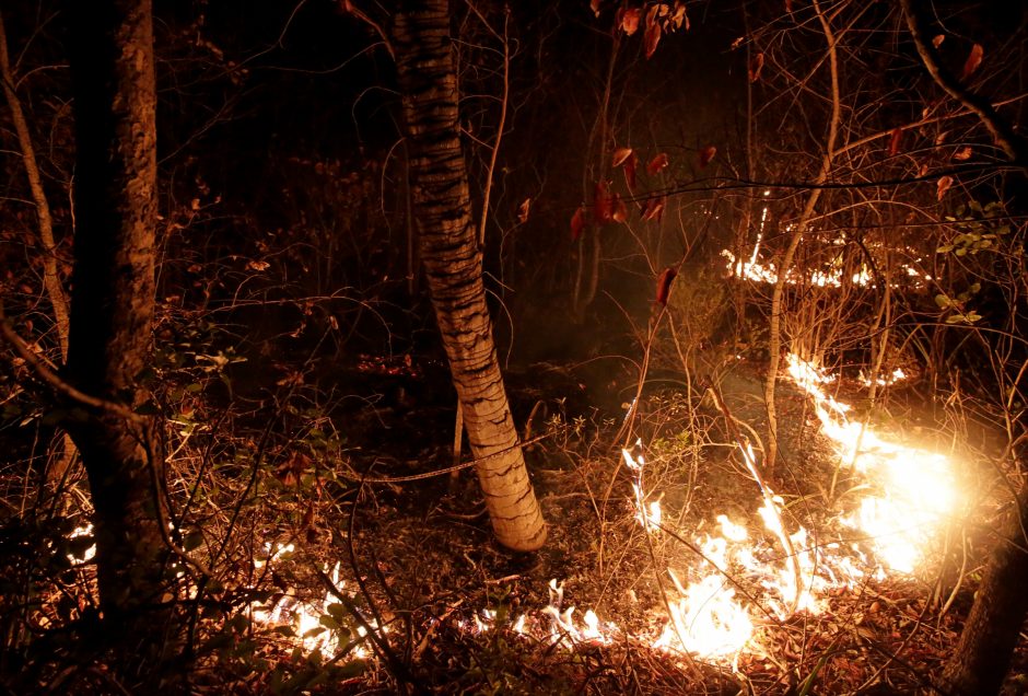 Su Amazonijos miškų gaisrais kovojanti Brazilija 60 dienų uždraudė deginti