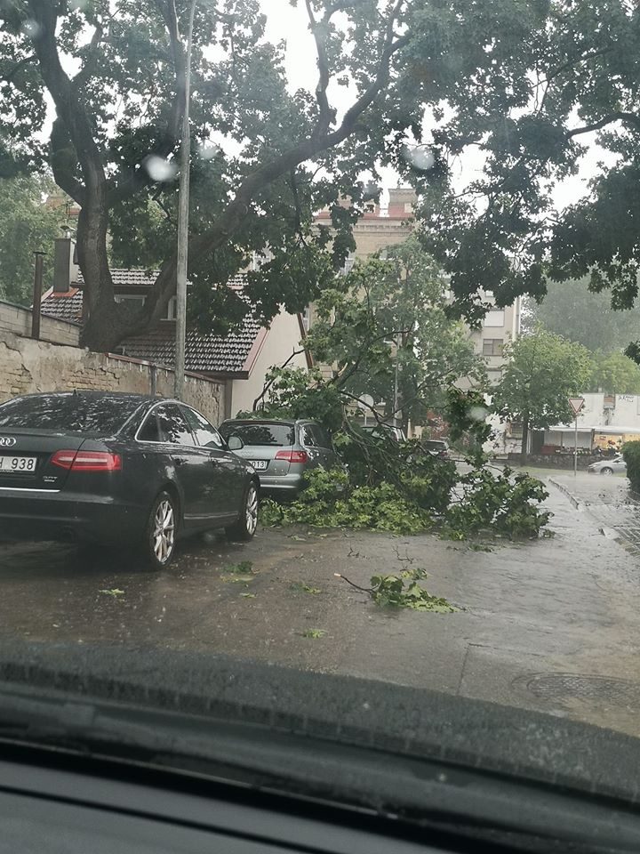 Sostinę užklupo liūtis: gatvės virto upėmis, virto medžiai 