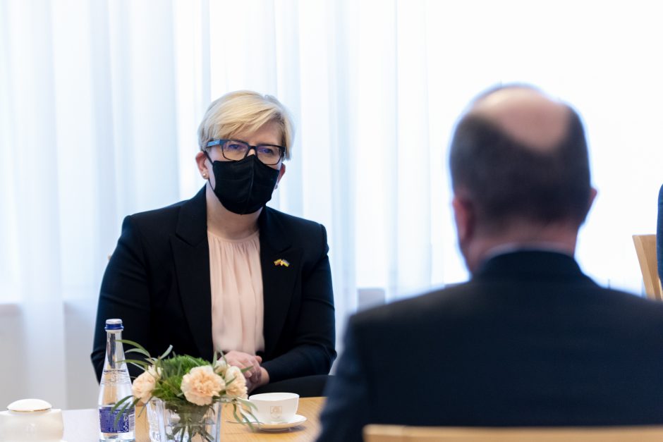 Premjerė: reikia didinti Maskvos agresijos kaštus