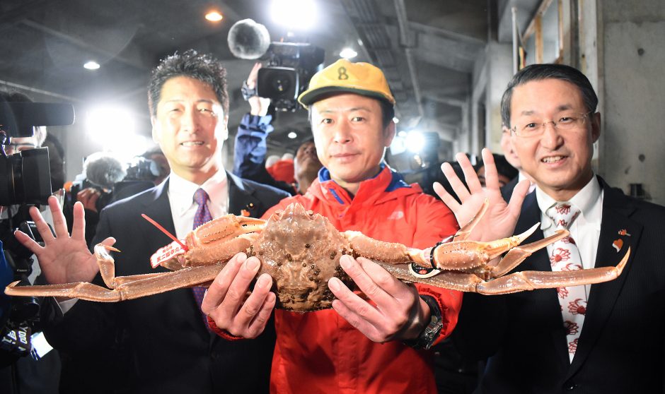 Snieginis krabas aukcione Japonijoje parduotas už 42 000 eurų