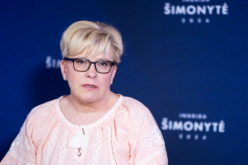 Premjerė skeptiškai vertina idėją dėl valstybės valdomo antros pakopos pensijų fondo