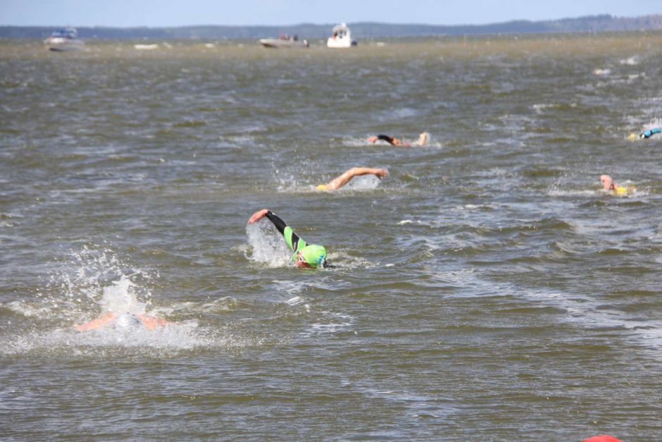 Kuršių marių plaukimo maratonas: brolių triumfas ir du rekordai 