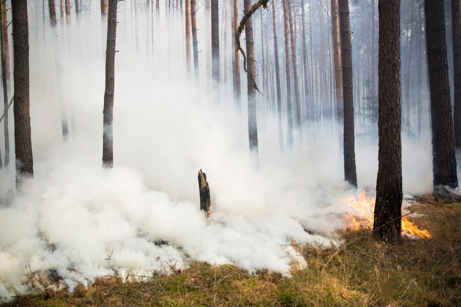 Graikija įtaria, kad už pražūtingo gaisro slypi nusikalstama veika