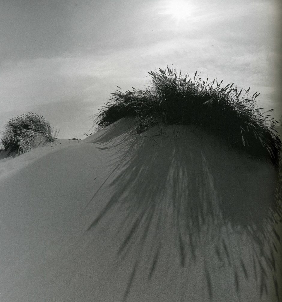 Fotografijos maestro V. Straukas: ieškau angeliško grožio