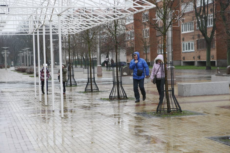 M. Mažvydo alėjos verslininkams – valdžios priekaištų lavina