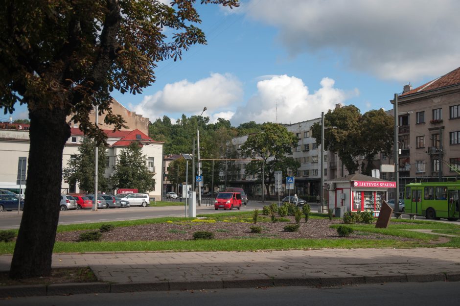 Ar Kauno gėlynai bus išskirtiniai?