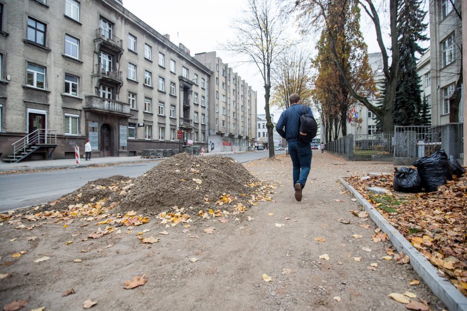 Centrinės gatvės išraustos: kada baigsis remontas?