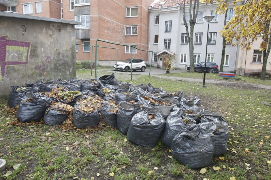 Lapų valytojams gresia baudos