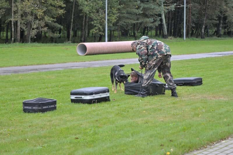 Geriausią uoslę aptinkant kvaišalus turi vokiečių aviganė Simba