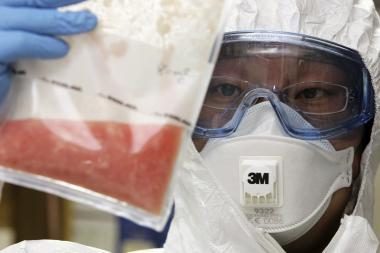 Kiaulių gripas verčia VMVT dirbti visą parą