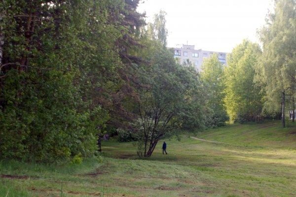Vilniuje, Pasakų parke, pedofilas išprievartavo mergaitę (papildyta)