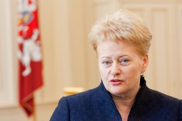 D.Grybauskaitė teigia, kad be tiesmuko kalbėjimo NATO gynybos planų tektų laukti dar ilgai