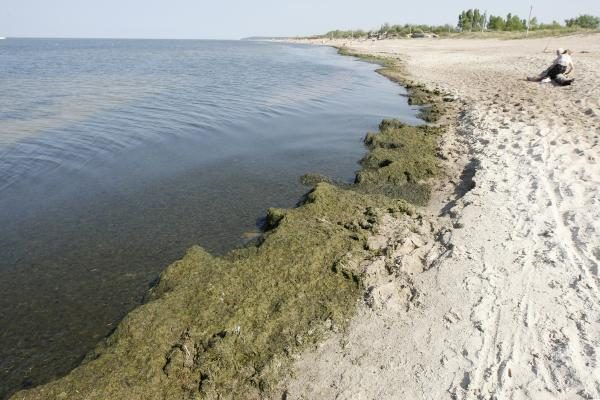 Gelbėtojai: Baltijos jūra yra labai nešvari, rasta bakterijų (papildyta)