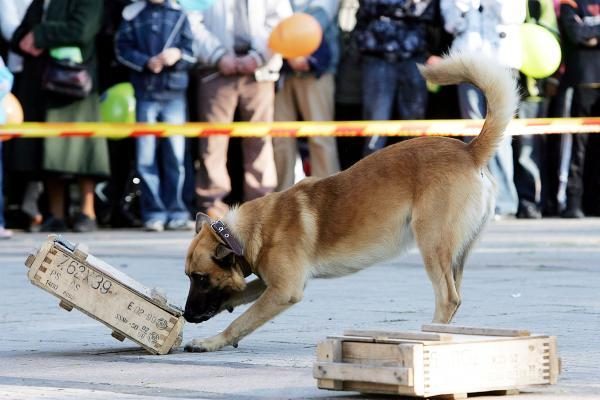 Policija kviečia gyventojus į Angelų sargų šventę