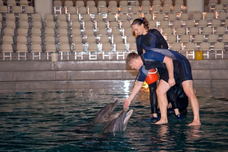 Į Klaipėdą sugrįžusios delfinės treneriams jau rodo triukus 