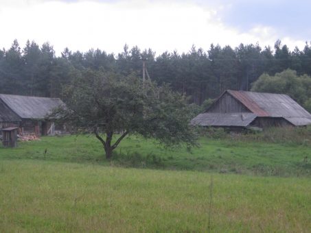 Skelbimas - Parduodama sodyba Veismūnų kaime