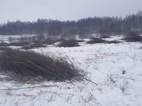 Skelbimas - Apleistų Sklypu Tvarkymas, krumu pjovimas-kirtimas