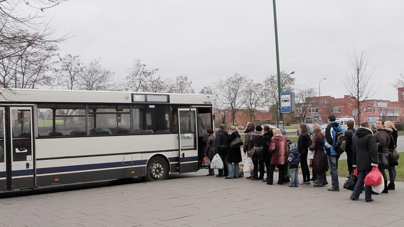 Realybė: pastebėta, kad autobusais į sodus dažniausiai važiuoja tie, kas vežasi sunkius krepšius arba turi nuolaidą bilietui.