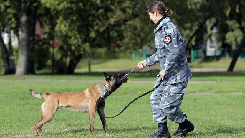 Policijos tarnybinis šuo Troja