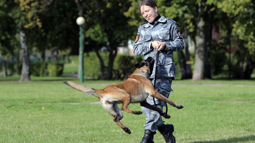 Policijos tarnybinis šuo Troja