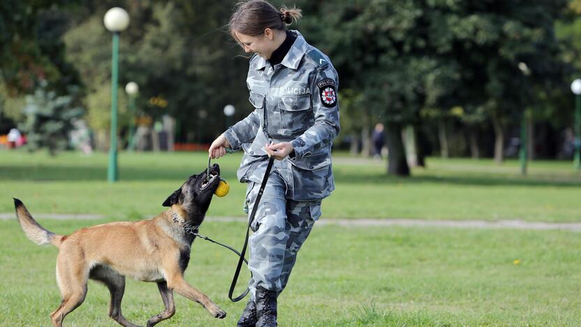 Policijos tarnybinis šuo Troja