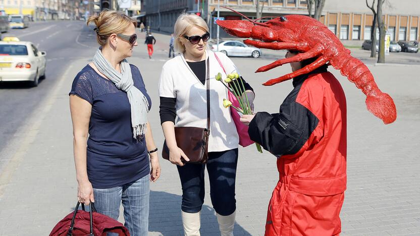 Klaipėdos gatvėse dalinami narcizai