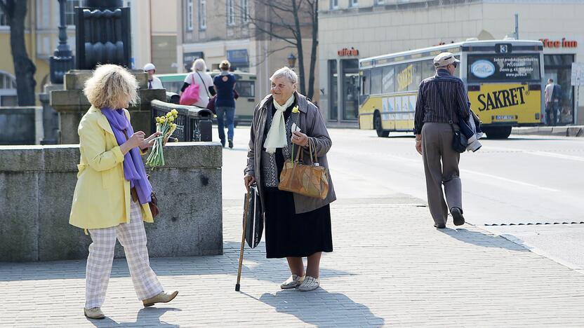 Klaipėdos gatvėse dalinami narcizai