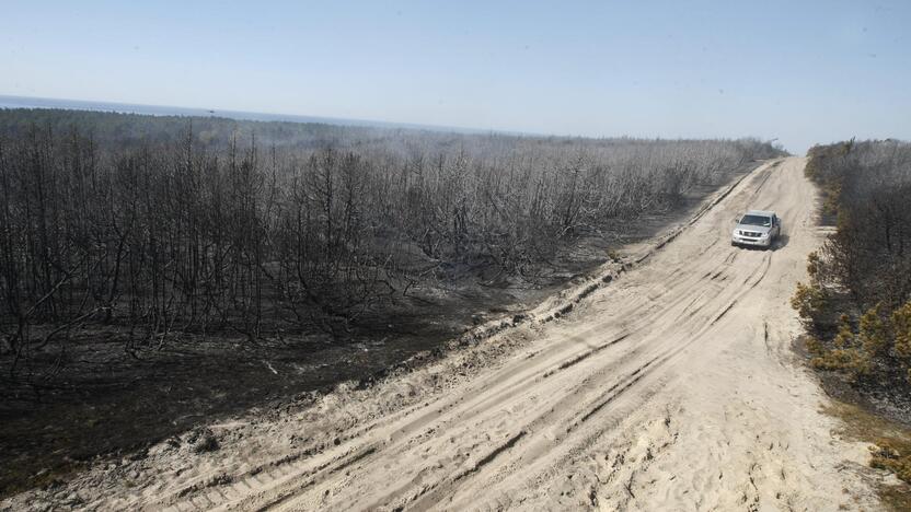 Kuršių nerijos gaisrą sutramdė gausios ugniagesių ir kariškių pajėgos