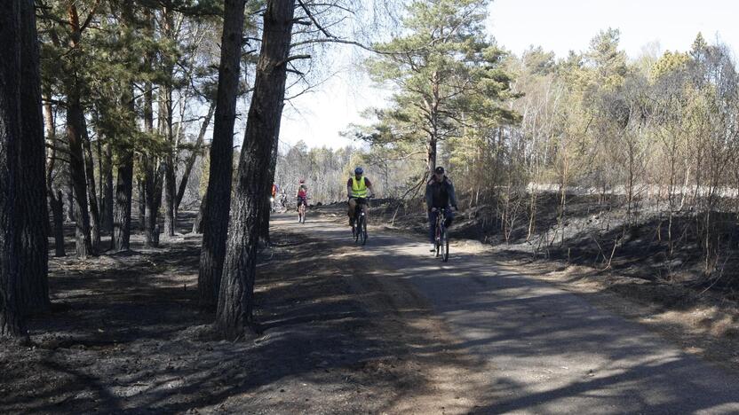 Kuršių nerijos gaisrą sutramdė gausios ugniagesių ir kariškių pajėgos