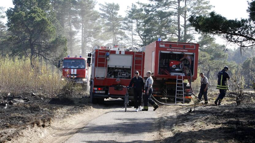 Kuršių nerijos gaisrą sutramdė gausios ugniagesių ir kariškių pajėgos