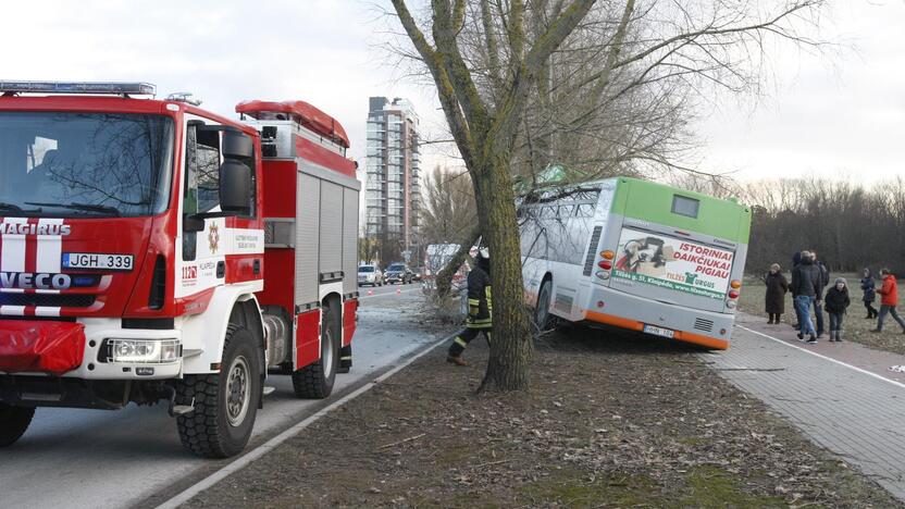 Kraupi avarija Klaipėdoje: autobusas rėžėsi į medį, sužeisti keleiviai 