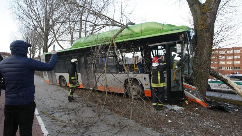 Kraupi avarija Klaipėdoje: autobusas rėžėsi į medį, sužeisti keleiviai 