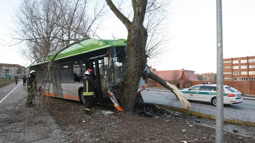 Kraupi avarija Klaipėdoje: autobusas rėžėsi į medį, sužeisti keleiviai 