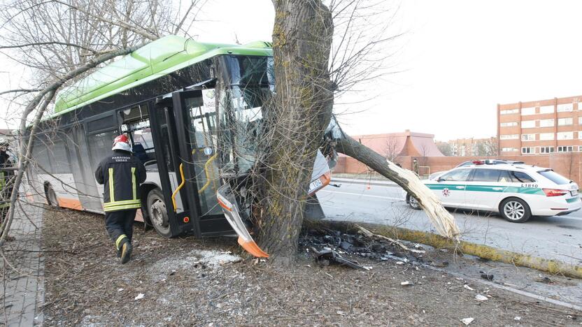 Kraupi avarija Klaipėdoje: autobusas rėžėsi į medį, sužeisti keleiviai 