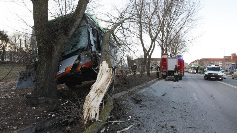 Kraupi avarija Klaipėdoje: autobusas rėžėsi į medį, sužeisti keleiviai 