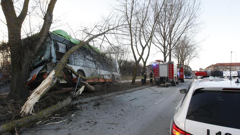 Kraupi avarija Klaipėdoje: autobusas rėžėsi į medį, sužeisti keleiviai 