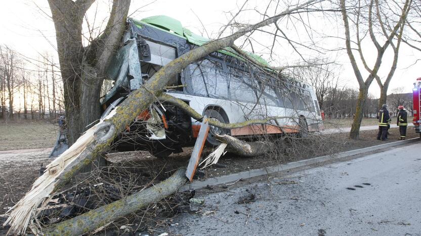 Kraupi avarija Klaipėdoje: autobusas rėžėsi į medį, sužeisti keleiviai 