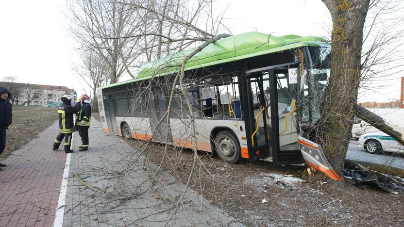 Kraupi avarija Klaipėdoje: autobusas rėžėsi į medį, sužeisti keleiviai 