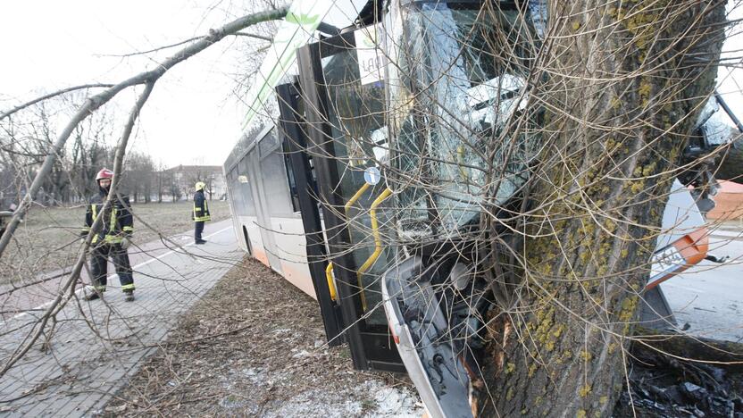 Kraupi avarija Klaipėdoje: autobusas rėžėsi į medį, sužeisti keleiviai 