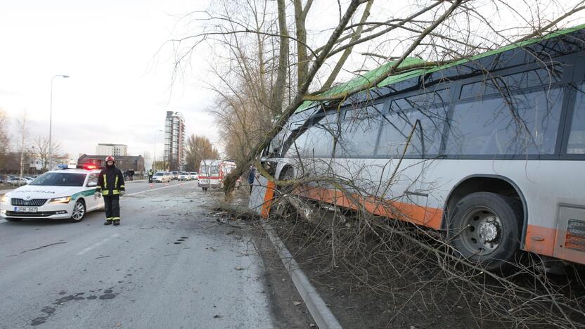 Kraupi avarija Klaipėdoje: autobusas rėžėsi į medį, sužeisti keleiviai 