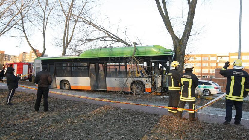 Kraupi avarija Klaipėdoje: autobusas rėžėsi į medį, sužeisti keleiviai 