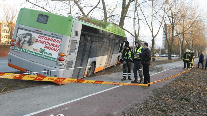 Kraupi avarija Klaipėdoje: autobusas rėžėsi į medį, sužeisti keleiviai 