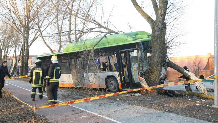 Kraupi avarija Klaipėdoje: autobusas rėžėsi į medį, sužeisti keleiviai 